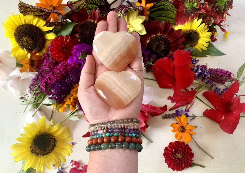 one hand holding two orange with white swirl blood orange calcite crystal hearts.