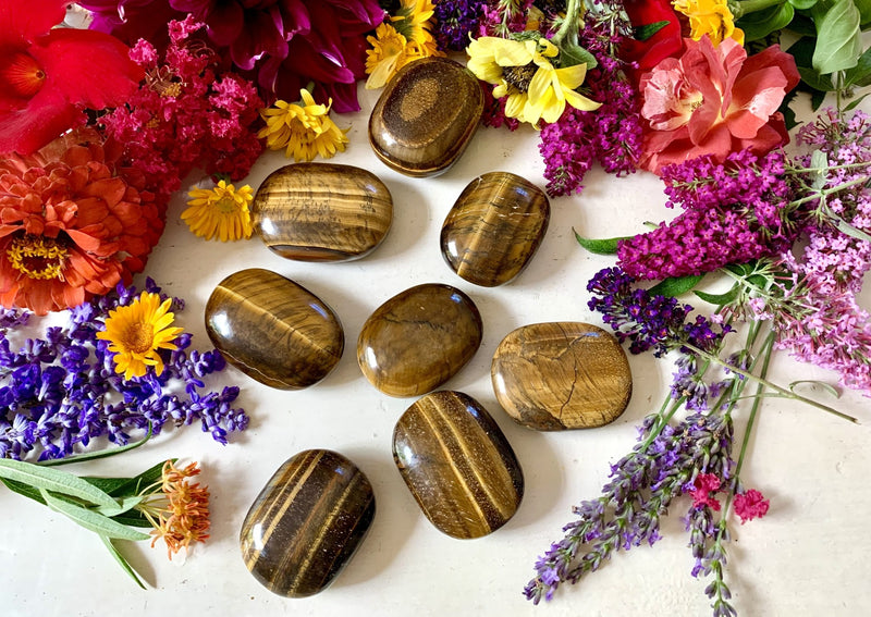 several brown and golden oval tigers eye palm stones on a tabletop