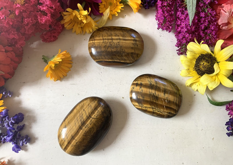 three brown and gold oval Tigers Eye palm stones on a tabletop