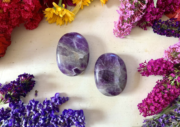 two purple amethyst stones flat and round on a tabletop with flowers